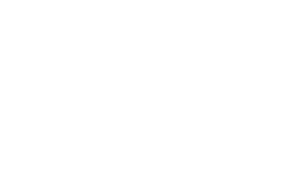 Step2 Custom